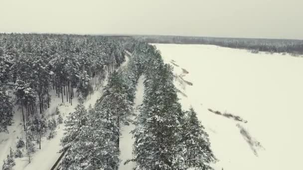 Зимний пейзаж с лесом, озером и дорогой, вид с воздуха. — стоковое видео