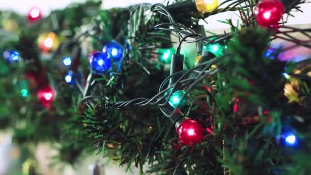 Light bulbs of a multi-colored Christmas garland on a green branch. – Stock-video