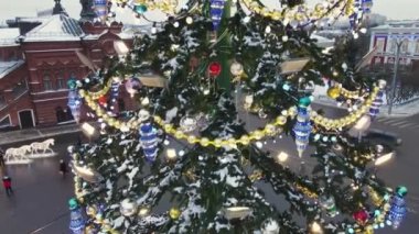Noel ağacının yeşil dallarında yanan çelenkler ve armutlar.