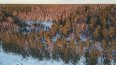 Günbatımında ormanda donmuş ağaçlarla mükemmel bir kış manzarası, hava manzarası.