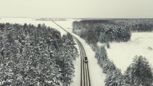 Зимний пейзаж, вид с воздуха, узкая дорога в лесу. — стоковое видео