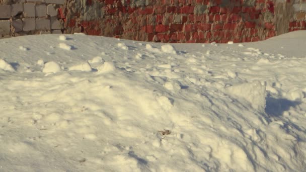 Primer plano de grandes trozos de nieve cayendo en una deriva de nieve. — Vídeos de Stock