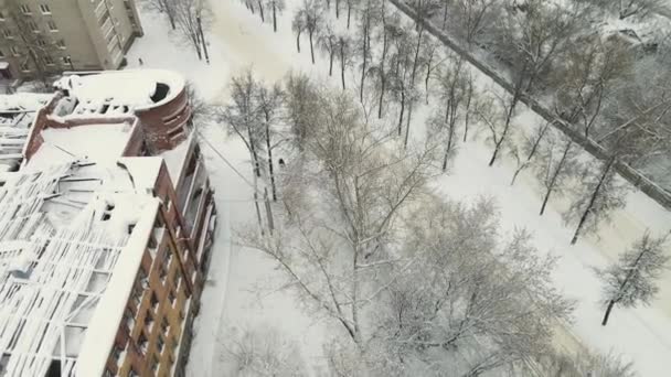 Auta na městské silnici mezi stromy pokrytá hustým bílým sněhem po sněhové bouři. — Stock video