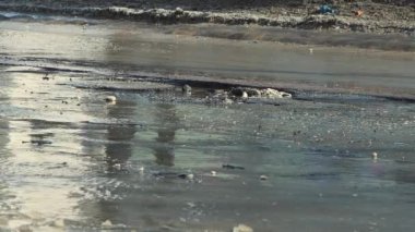 Asfalttaki tehlikeli çukurlar, yağmurdan sonra hasar gören yol altyapısı. 
