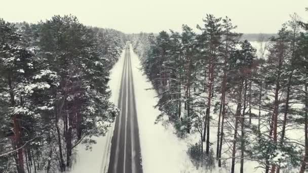 Сказочный зимний пейзаж, вид с воздуха, узкая дорога в лесу. — стоковое видео