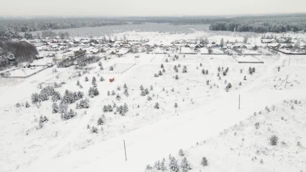 Χιονισμένο χειμερινό χωράφι με έλατα στην άκρη του χωριού, εναέρια άποψη — Αρχείο Βίντεο