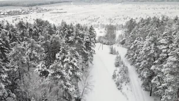 Fantastic snow covered winter forest in cool weather, aerial view. — Stock Video