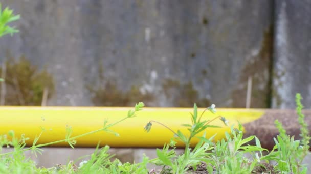 Una mano maschile con un pennello dipinge il tubo con vernice gialla in sfocatura. — Video Stock