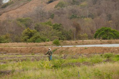 Çiftlik işçisi, tarlaları ilaçlıyor.