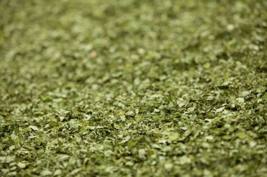 Moringa yapraklarını, ağaçlarını, çiftliğini, beslenme düzenini kapat.