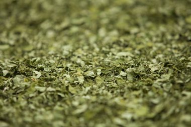 Moringa yapraklarını, ağaçlarını, çiftliğini, beslenme düzenini kapat.