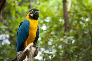 Avrupa binalarının pencere ve çatısının minimalist fotoğrafı