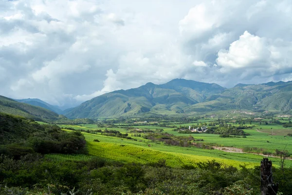 Şeker kamışı tarlalarının manzarası Loja 'daki yeşil dağlar, ekvador