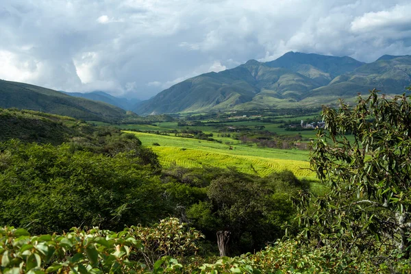Landschaft Der Zuckerrohrplantagen Grüne Berge Loja Ecuador — Stockfoto