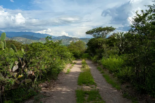 Landschaft Aus Feldwegen Mit Anden Bergen Loja Ecuador Während Der — Stockfoto