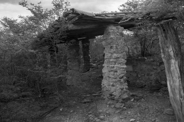 Eski taş kulübe terk edilmiş korkunç arka aydınlatma güneşli eski antika