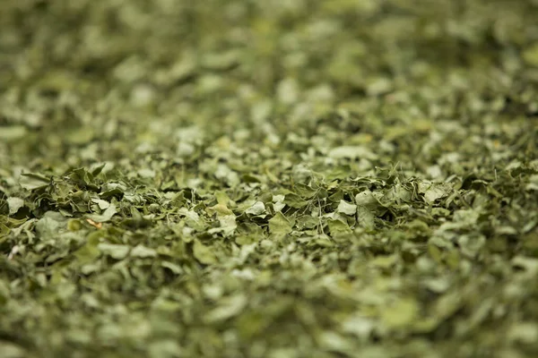 Moringa yapraklarını, ağaçlarını, çiftliğini, beslenme düzenini kapat.