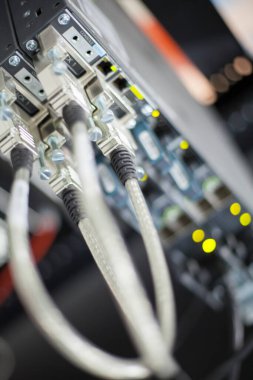 Ethernet kablolarının makroyu kapat İnternet kablosu bağlantı bağlantısı