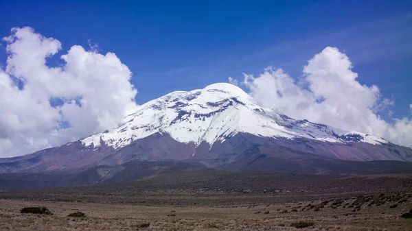 Landscape Chimborazo Ecuador Andes Andean Mountains Snow Peak — Stock Photo, Image