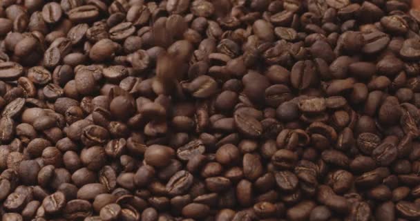 Geroosterde Koffiebonen Vallen Slow Motion — Stockvideo