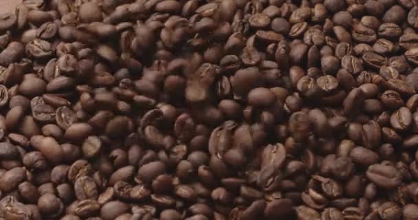 Geröstete Kaffeebohnen Fallen Zeitlupe — Stockvideo