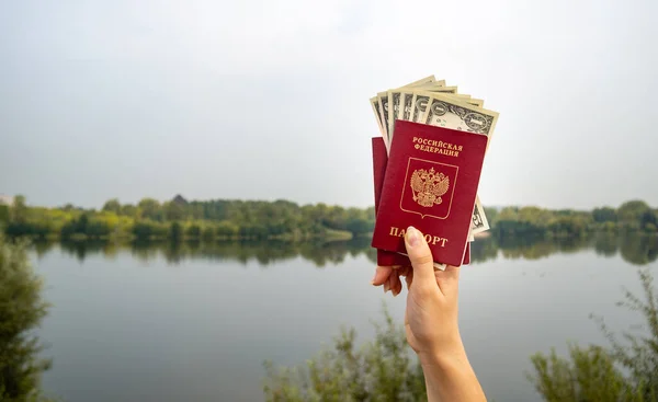 自然の背景を背景に あなたの手の中に外国のパスポートとドル 屋外で撮影 — ストック写真