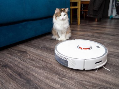 Beyaz bir elektrikli süpürge robotu ve kaplamalı ahşap zeminde tüylü bir kedi. Oturma odasını temizleme fikri..