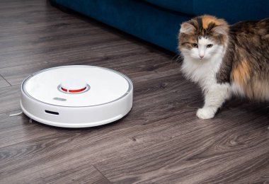 Beyaz bir elektrikli süpürge robotu ve kaplamalı ahşap zeminde tüylü bir kedi. Oturma odasını temizleme fikri..
