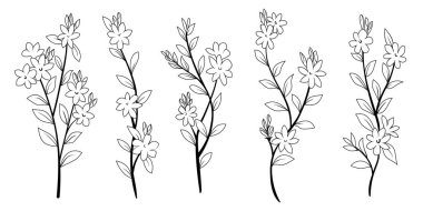 Siyah beyaz el çiçekli element