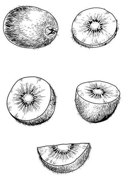 Zwart Wit Set Van Met Hand Getrokken Kiwi — Stockvector