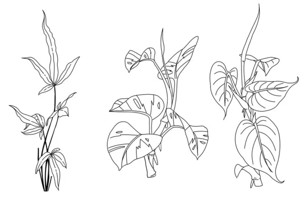 Ασπρόμαυρο Ζωγραφισμένο Σκίτσο Φυτού Και Λουλουδιού — Διανυσματικό Αρχείο