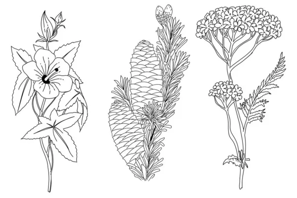 Svart Och Vit Handritad Skiss Blommor Element — Stock vektor