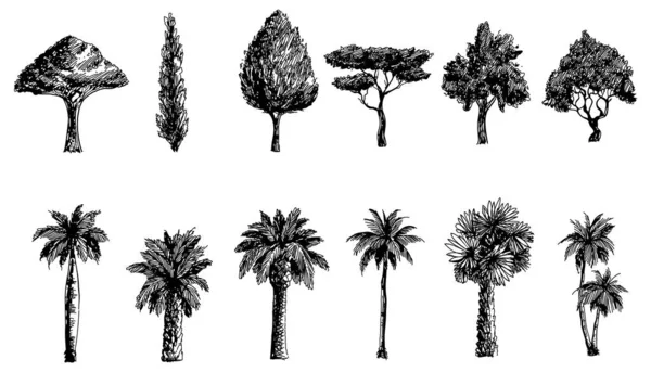 Black White Hand Drawn Set Trees Silhouettes Illustration Vector Element — Stock Vector