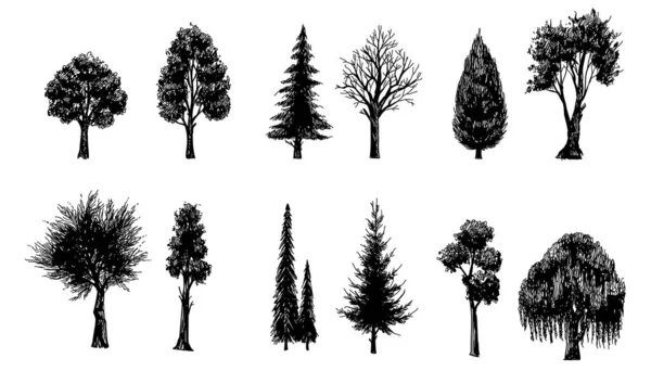 Black White Hand Drawn Set Silhouettes Trees Element Vector Trees — Stock Vector