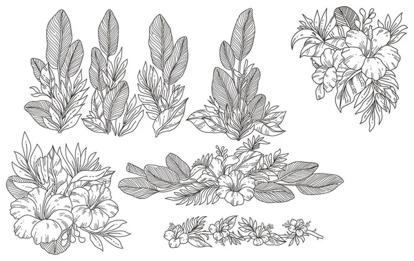 Black White Set Flowers Hand Drawn Illustration Vector Flower Element — Stock Vector