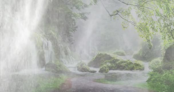 熱帯雨林に氾濫する流れと大雨 雨季の森の美しい風景画 音とビデオ 4K雨の映画 リラクゼーションビデオ4K ベトナム — ストック動画