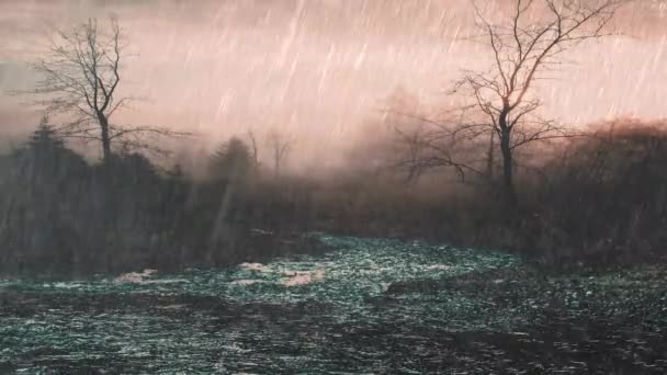 沼の森の夕焼け雨 4K雨の動画 リラクゼーションVideo — ストック動画