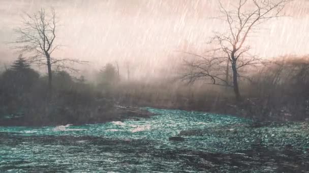 Wideo Piękny Deszcz Deszcz Pada Bagna Lesie Deszczowym — Wideo stockowe
