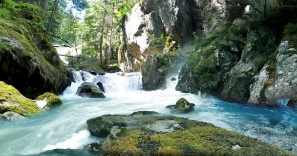 多くの滝や小川が熱帯雨林の中を強く流れています — ストック動画