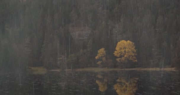 Regen Valt Het Meer Het Regenwoud Prachtig Landschap Regen — Stockvideo