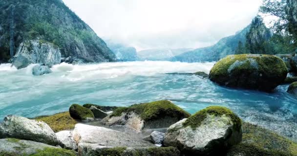 Nehirler Güçlü Bir Şekilde Denize Akıyor Ormanın Büyüleyici Manzarası — Stok video