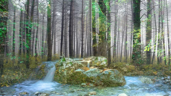 Sadece eski ormanlar arasındaki dereler - yağmur ormanlarının güzel manzarası