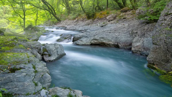 Stream Flows Long Foil Forest Beautiful Landscape Picture Rainforest — Stock Photo, Image
