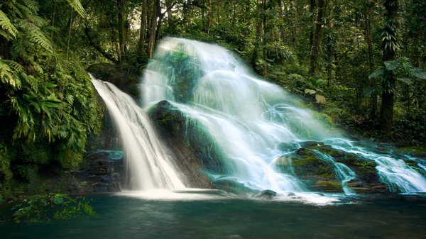 Birçok akarsu, tropikal ormanlardaki nehirlere akar yağmur ormanlarındaki güzel manzara resimleri.