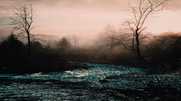 Mooie Zonsondergang Foto Het Regenwoud Prachtige Landschapsfoto Het Regenwoud — Stockfoto