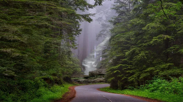 Şelale yağmur ormanlarındaki patikalara akar yağmur ormanlarındaki güzel manzara resimleri.
