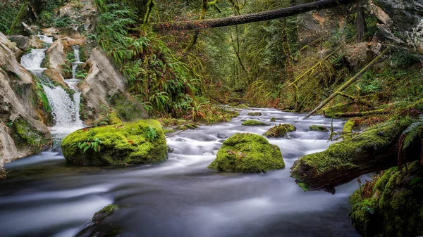 Cascate Che Scorrono Nelle Foreste Primordiali Immagini Del Paesaggio Nella — Foto Stock