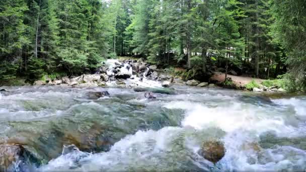 수원지에 흐르는 강우림 아름다운 — 비디오