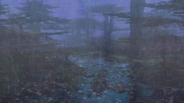 Βροχή Και Βροντή Ισχυρή Στο Δάσος Βάλτο Νύχτα Όμορφο Τοπίο — Αρχείο Βίντεο