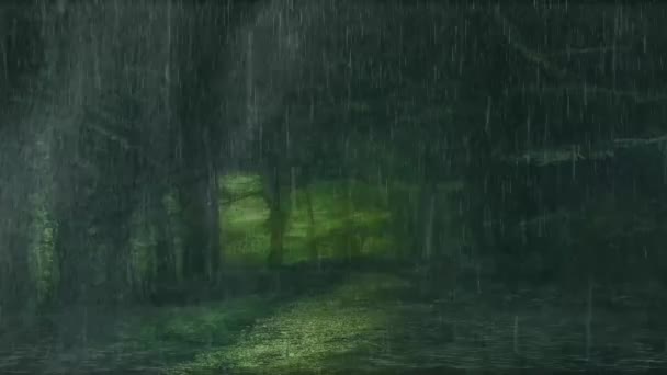 湿地林の雨 熱帯雨林の美しい風景 — ストック動画